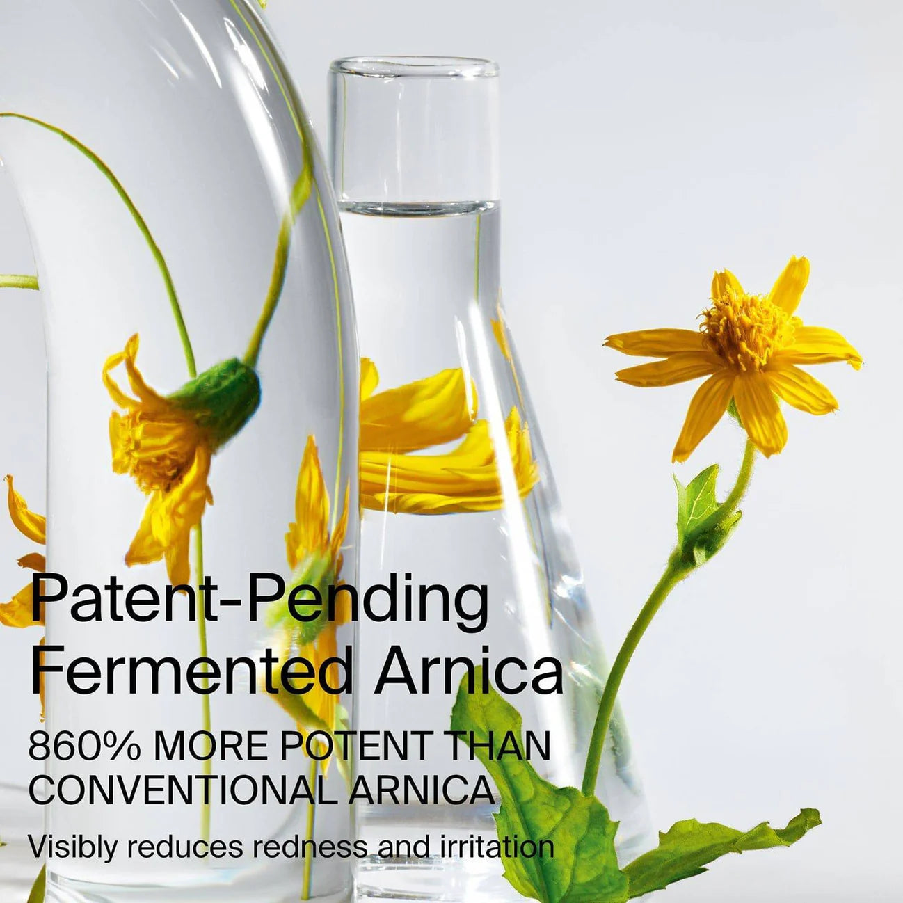 Haus Labs Bio-Blurring Loose Setting Powder