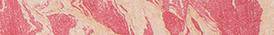 Hourglass Ambient™ Lighting Blush - Illuminating Blush