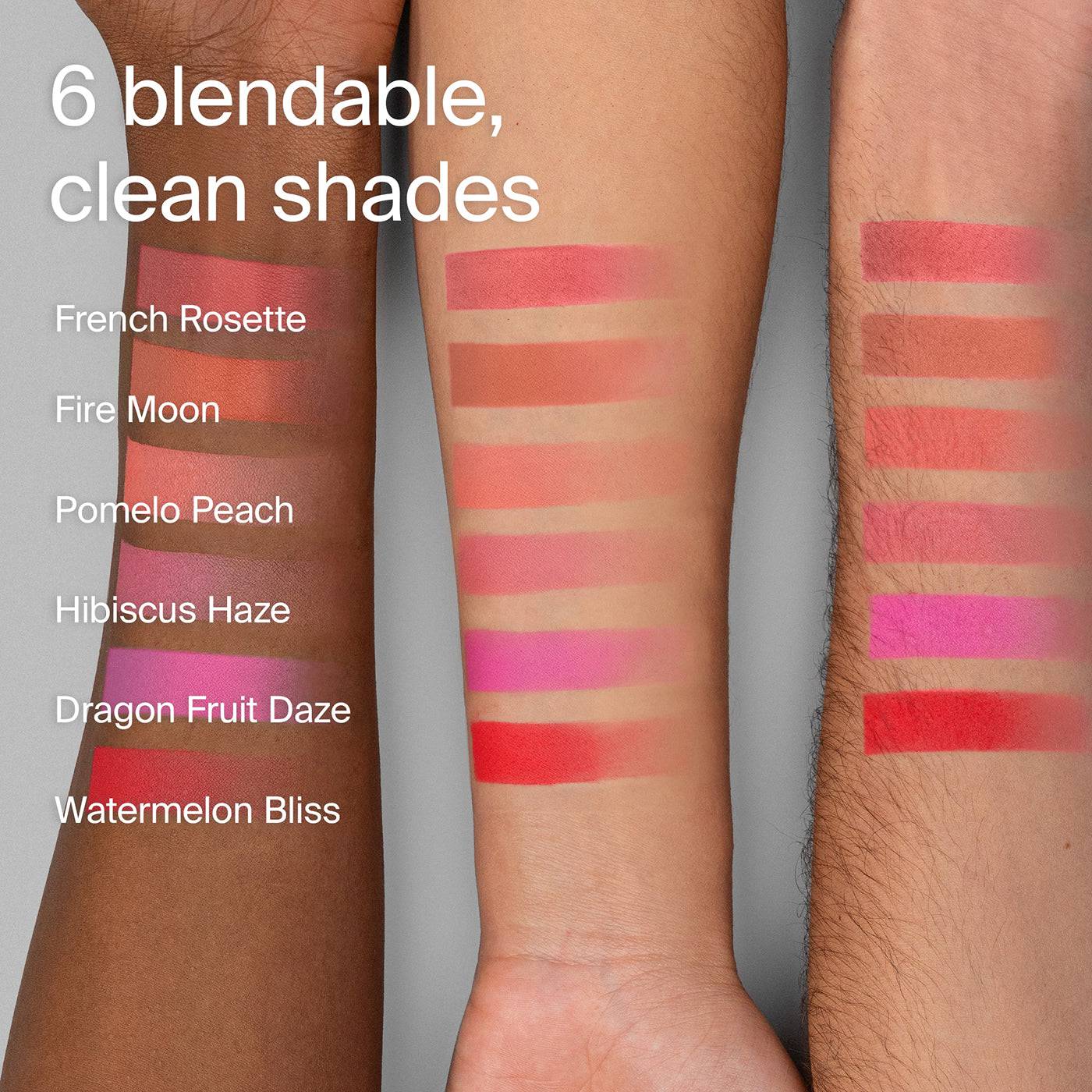 Haus Labs Color Fuse Blush Powder - Blush